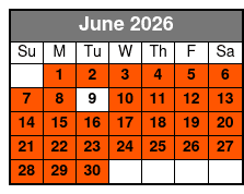 Private Helicopter Night Tour in Orlando Park Fireworks June Schedule