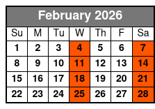 Daytona Beach Day Small Group with Hotel Pick Ups February Schedule