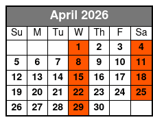 Daytona Beach Day Small Group with Hotel Pick Ups April Schedule