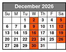 Daytona Beach Day Small Group with Hotel Pick Ups December Schedule