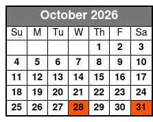 Daytona Beach Day Small Group with Hotel Pick Ups October Schedule