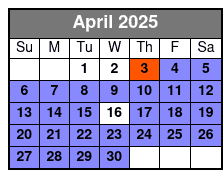 Small Group Scenic Wekiva River Kayak Tour Near Orlando April Schedule
