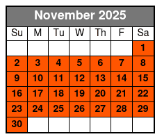 Orlando Family Explorer: Downtown Wonders November Schedule