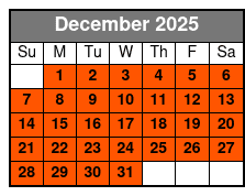 Orlando Family Explorer: Downtown Wonders December Schedule
