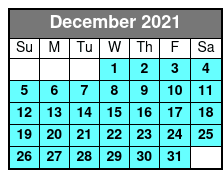 1 Hour Airboat Ride at Night December Schedule
