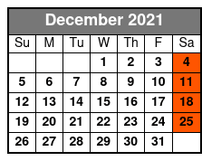 Homosassa State Park & Crystal River Boat Ride, Snorkel and Swim with Manatees December Schedule