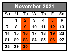 Dolphin Encounter Tour November Schedule