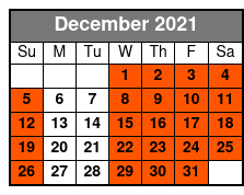 Titanic The Artifact Exhibition December Schedule