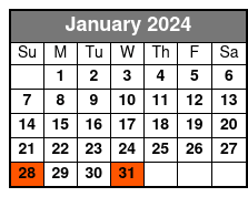 Orlando City Sightseeing Tour January Schedule
