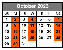 Clearwater Beach Day Trip from Orlando with Dolphin Encounter Cruise October Schedule