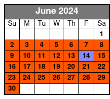 Sl + VR Experience June Schedule