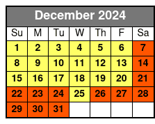 Sl + VR Experience December Schedule