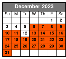 40 Min Fireworks Evening December Schedule