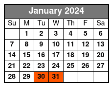 30 Minute Evening Flight January Schedule
