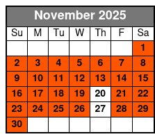 Kennedy Space Center Tour and Chat with An Astronaut Experience! November Schedule