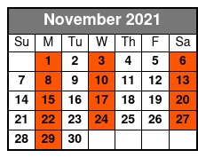 Clearwater Beach Excursion and Dolphin Encounter November Schedule