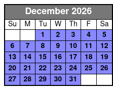 Sunset Kayaking w/ Florida Bioluminescence December Schedule