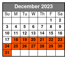Indoor Karting December Schedule