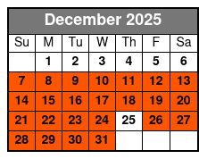 Holiday VIP Package December Schedule