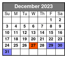 3-Hour Paddleboard Rental in Orlando December Schedule