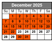 Clear Kayak Adventures Through Silver Springs December Schedule