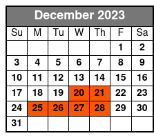 60 Minute Open Jump at Altitude Trampoline Park in Kissimmee December Schedule