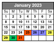 Port Canaveral Cruise Shuttles January Schedule