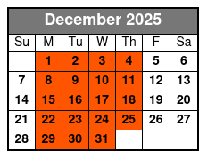 90 Minute Open Jump at a Trampoline Park in Kissimmee December Schedule