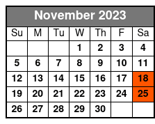 Best Clearwater Beach & Dolphin Watch Day Tour from Orlando to Mexico Gulf November Schedule