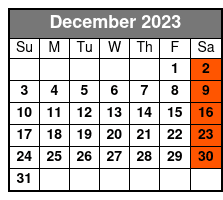 Best Clearwater Beach & Dolphin Watch Day Tour from Orlando to Mexico Gulf December Schedule