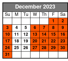 Sanford Surrey Rentals - 2 Hours - Single Bike December Schedule