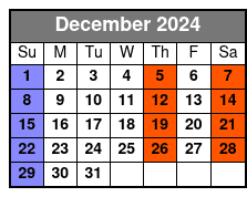 11 Am December Schedule