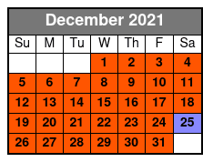 Swamp Tour Drive Out With Transportation December Schedule