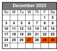 New Orleans Night Sightseeing Flight December Schedule