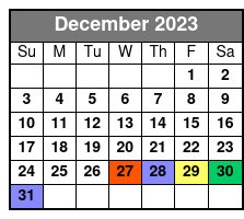 New Orleans VIP Sightseeing Flight Including Champagne and Chocolates Or Wine and Cheese December Schedule
