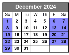 8 Pm December Schedule