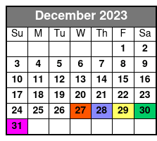 VIP Private Tour Half Hour December Schedule