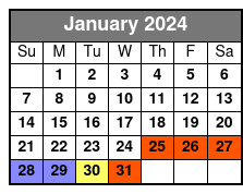 Electric Crescent Electric Bike Tour in New Orleans January Schedule