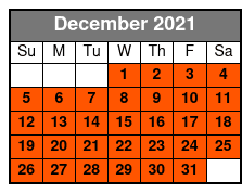 Historical New Orleans City Tour December Schedule