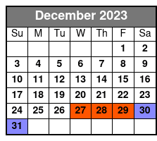 New Orleans Ghost Adventure with Real Paranormal Equipment December Schedule