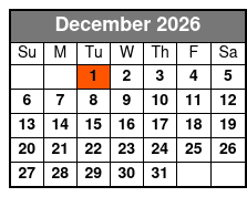 2 Hour Sunset Dolphin and Sightseeing Tour in Panama City Beach, Fl December Schedule