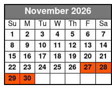 3 Hour Dolphin Private Guided Tour By A Marine Biologist November Schedule