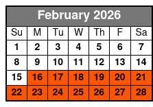 Private Pontoon Boat to Crab Island with Dolphin Cruise February Schedule