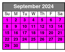 Experience Parasailing Just Chute Me Destin September Schedule
