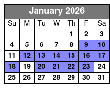 Destin Harbor Sunset Eco Dolphin Cruise January Schedule