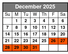Maximum Magic Show Featuring Noah and Heather Wells December Schedule