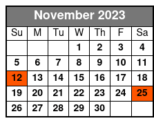 Show Ticket 9:00pm November Schedule