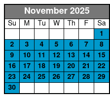 Hydrojet Dolphin Cruise November Schedule