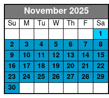 Hydrojet Dolphin Cruise in Destin November Schedule