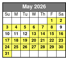 2 Hour Dolphin Sightseeing Tour with Capt. Zach's Adventures May Schedule